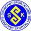 sskhockeylogga.webp (1)