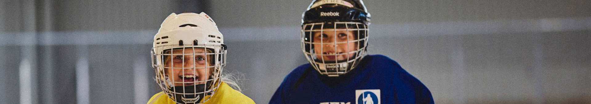 hockey-ar-kul2.jpg